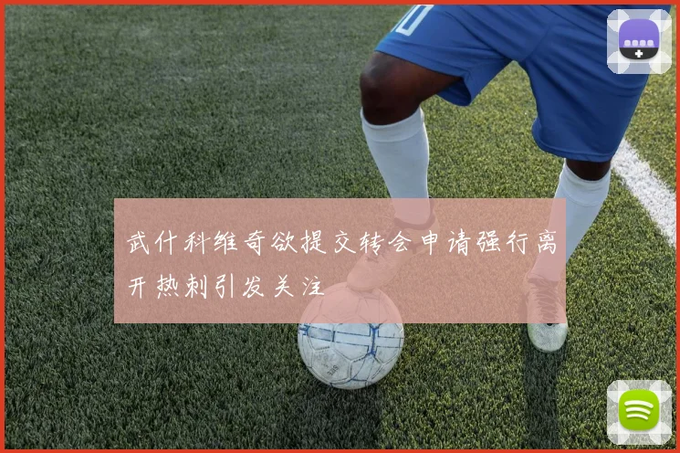 武什科维奇欲提交转会申请强行离开热刺引发关注