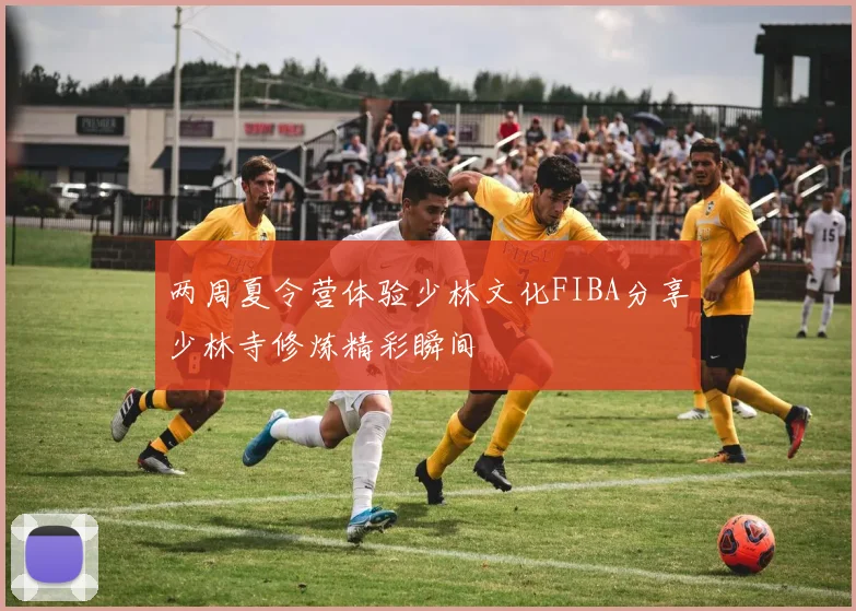两周夏令营体验少林文化FIBA分享少林寺修炼精彩瞬间